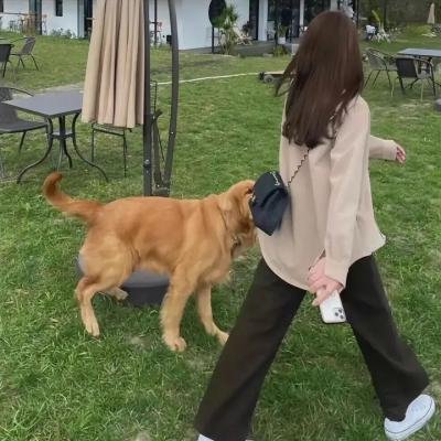 甜小姐与冷先生